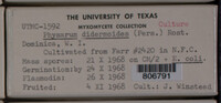 Image Associated With the Occurence